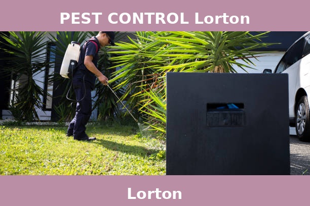 PEST CONTROL Lorton